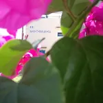 Nocleg ze śniadaniem Mediterranea