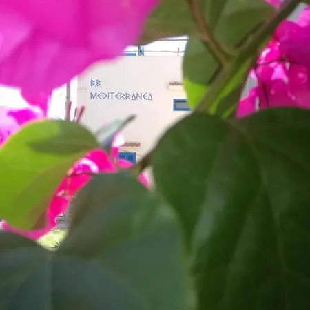 ベッド・アンド・ブレックファスト Mediterranea