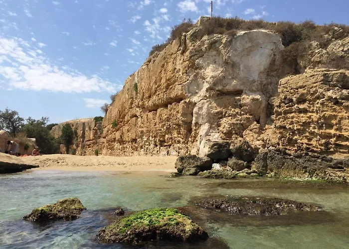 Mediterranea