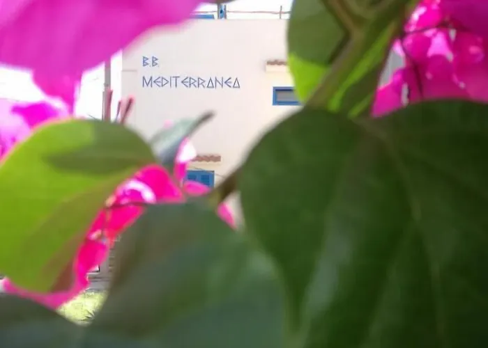 Bed & Breakfast Mediterranea